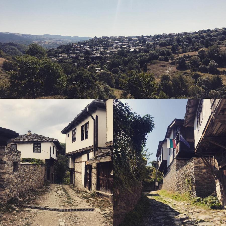 Sharkov Guest House Dolen  Exterior foto