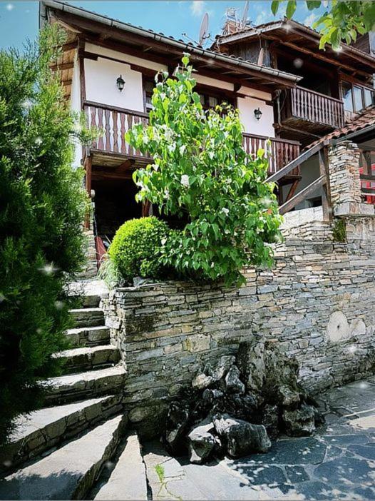 Sharkov Guest House Dolen  Exterior foto