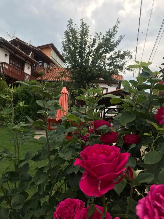 Sharkov Guest House Dolen  Exterior foto